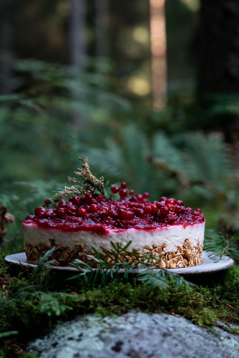 26. Cheesecake utan ugn 2026 med lingon och rostad havre i skogskänsla