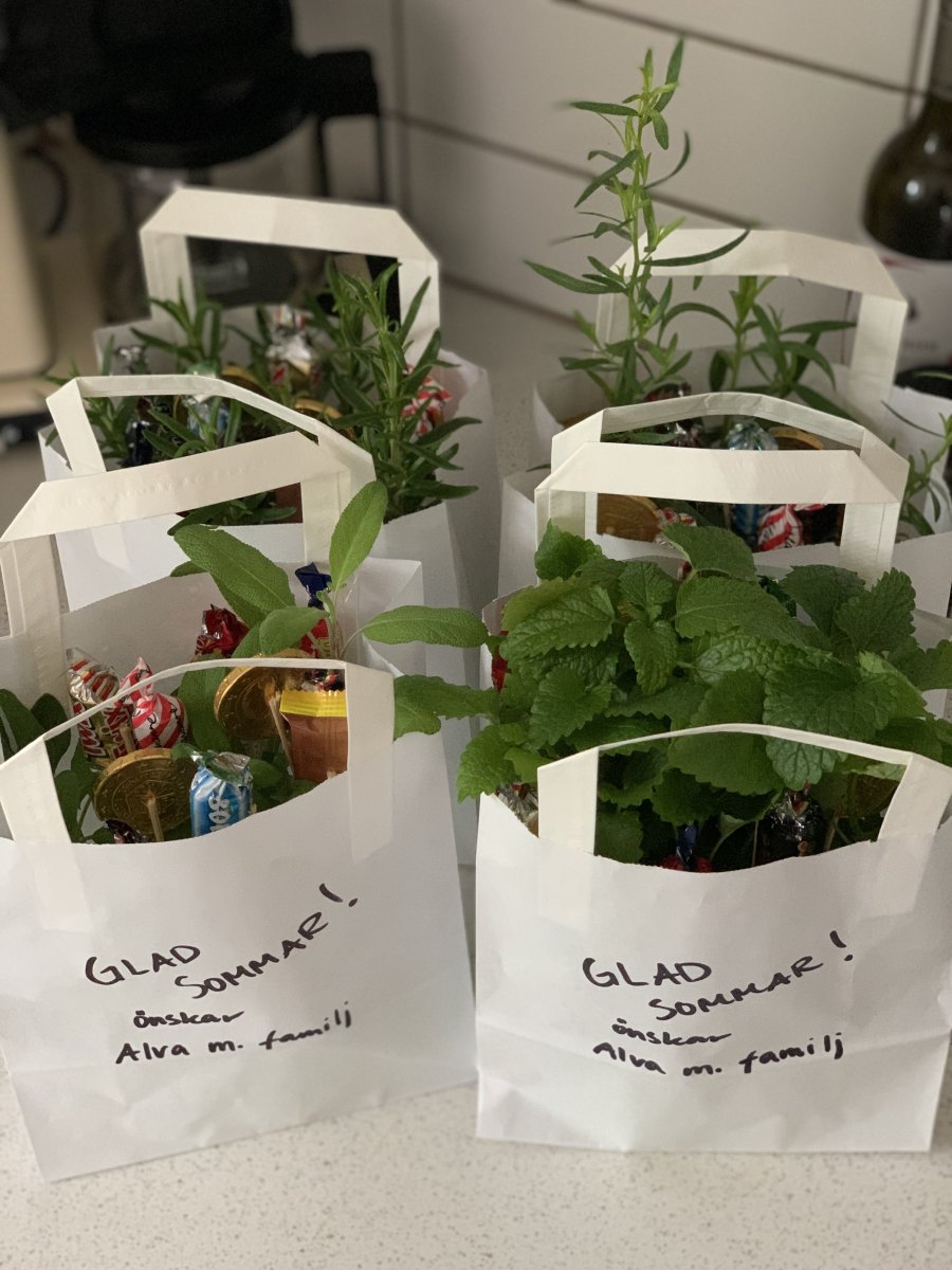 Vita papperspåsar med krukväxter av mynta och rosmarin och godis, med handskriven sommarhälsning på framsidan