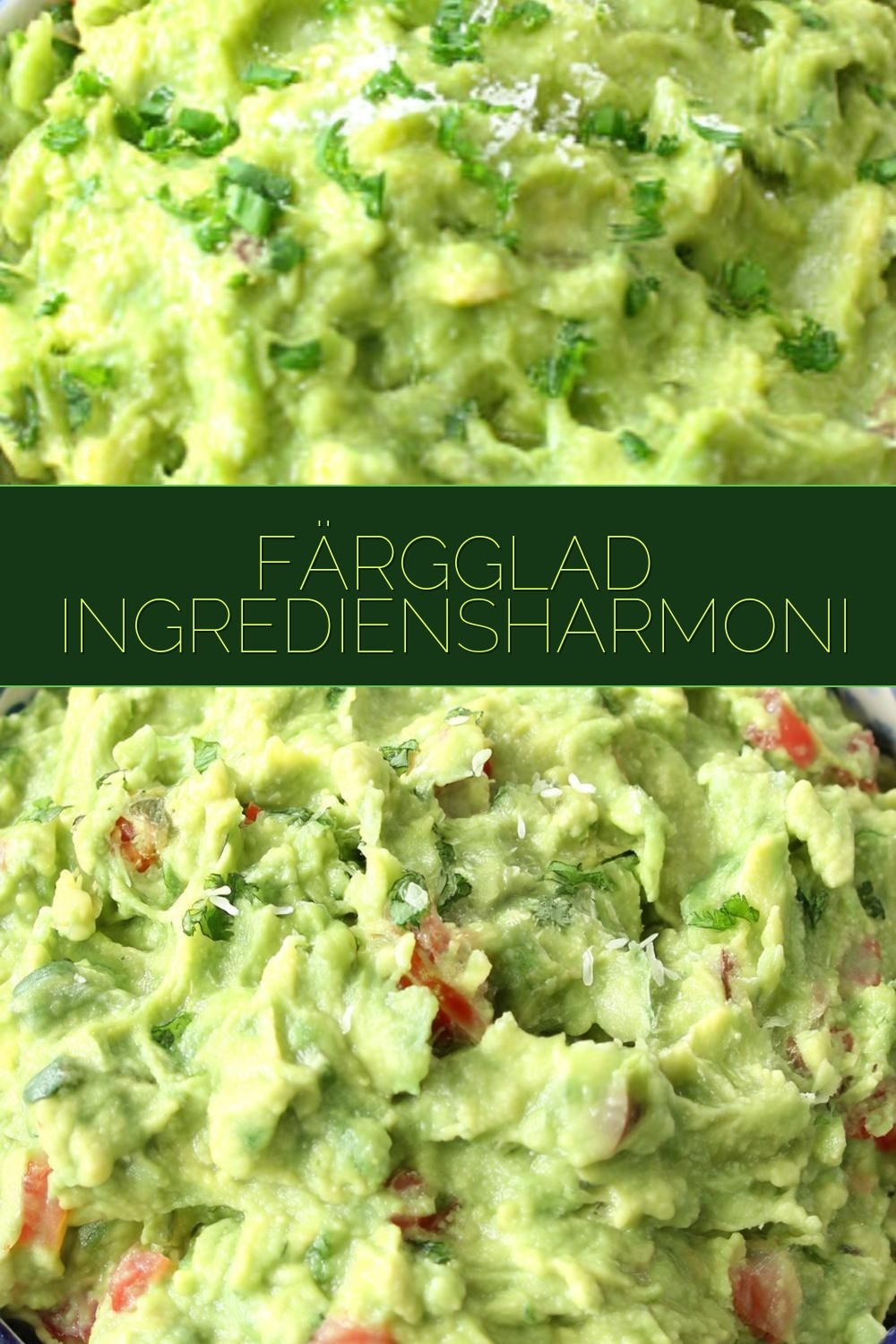 Färgglad Ingrediensharmoni