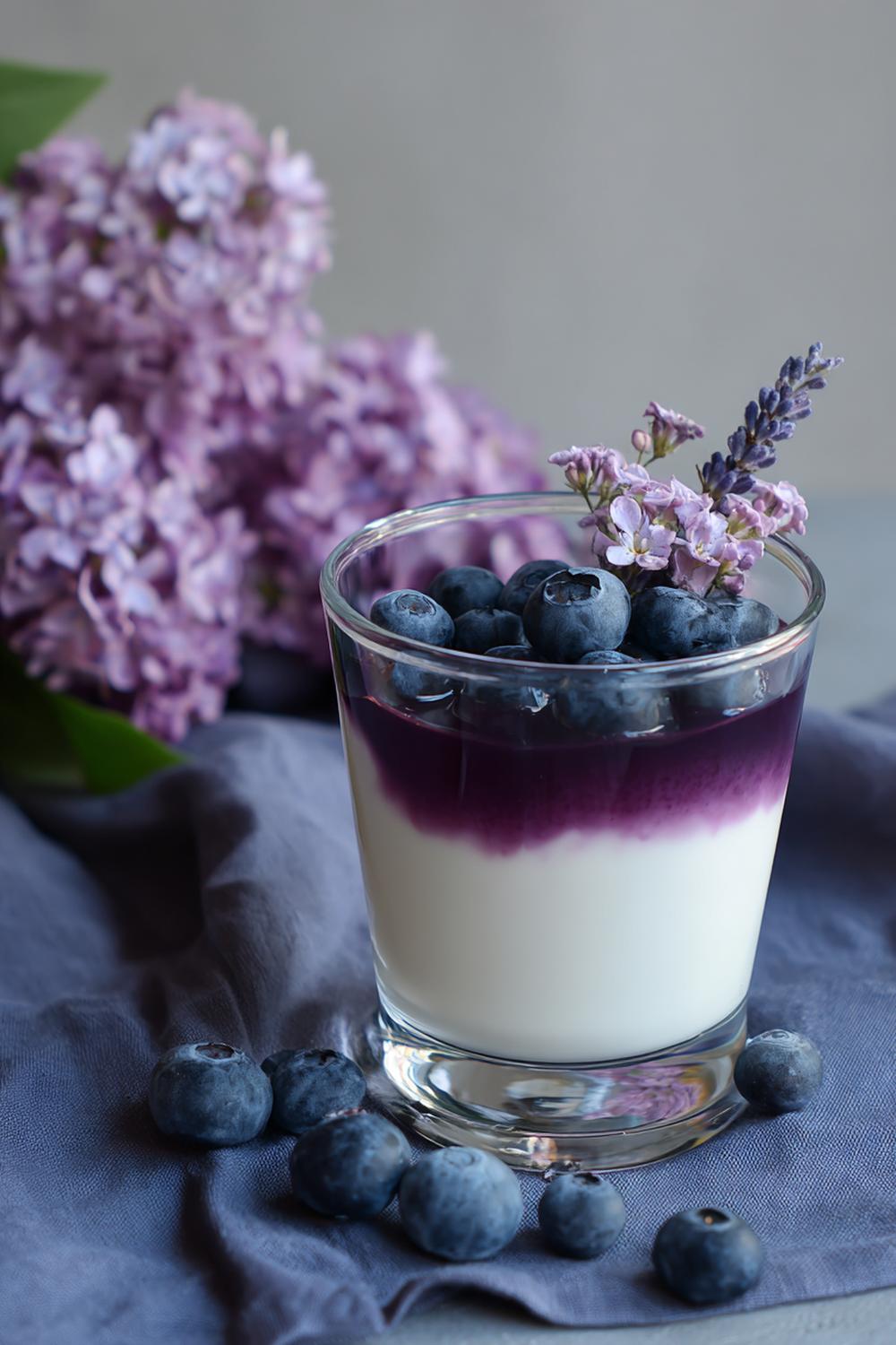 9. Pannacotta recept 2026 med blåbär och lavendel i nordisk stil